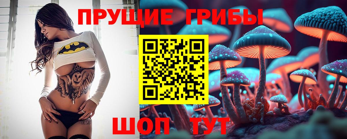 Псилоцибиновые грибы прущие грибы Удомля